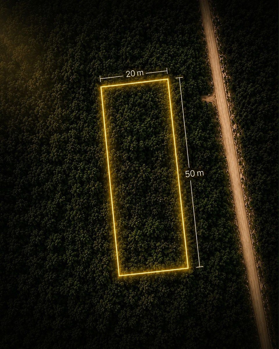 Lote em Komchen, Mérida, foto 2 de 3