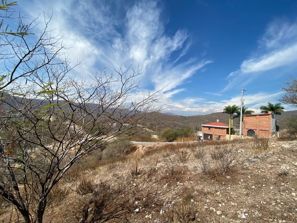 Terreno en Ticumán, Tlaltizapán, foto 16 de 24