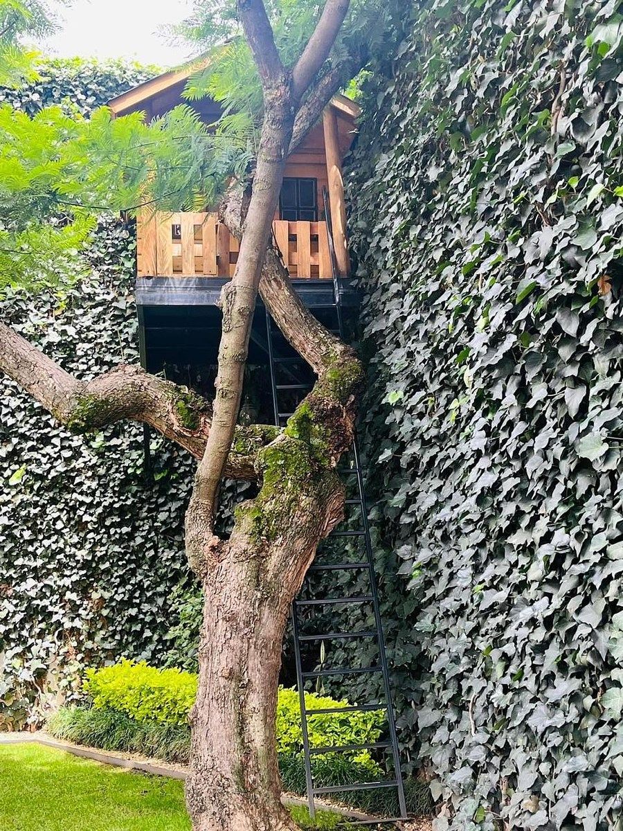 House in Jardines del Pedregal, Álvaro Obregón, photo 10 of 12