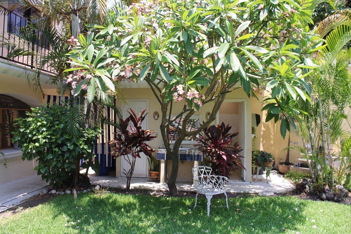 Casa en Oaxtepec Centro, Yautepec, foto 5 de 50
