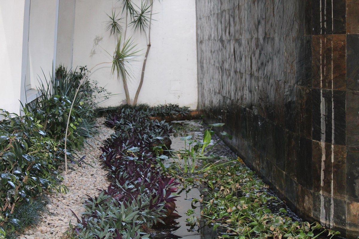 Casa con uso de suelo en Vista Hermosa, Cuernavaca, foto 5 de 50