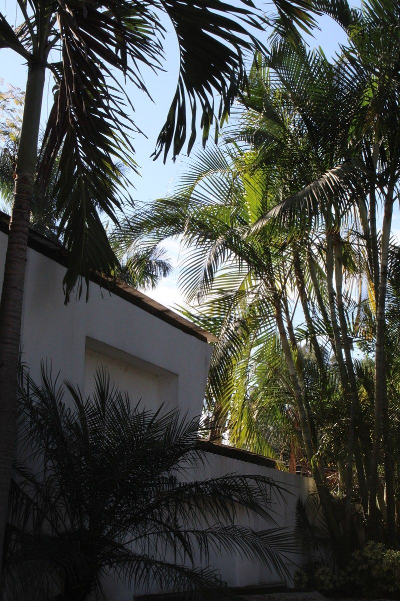 Casa con uso de suelo en Vista Hermosa, Cuernavaca, foto 7 de 50