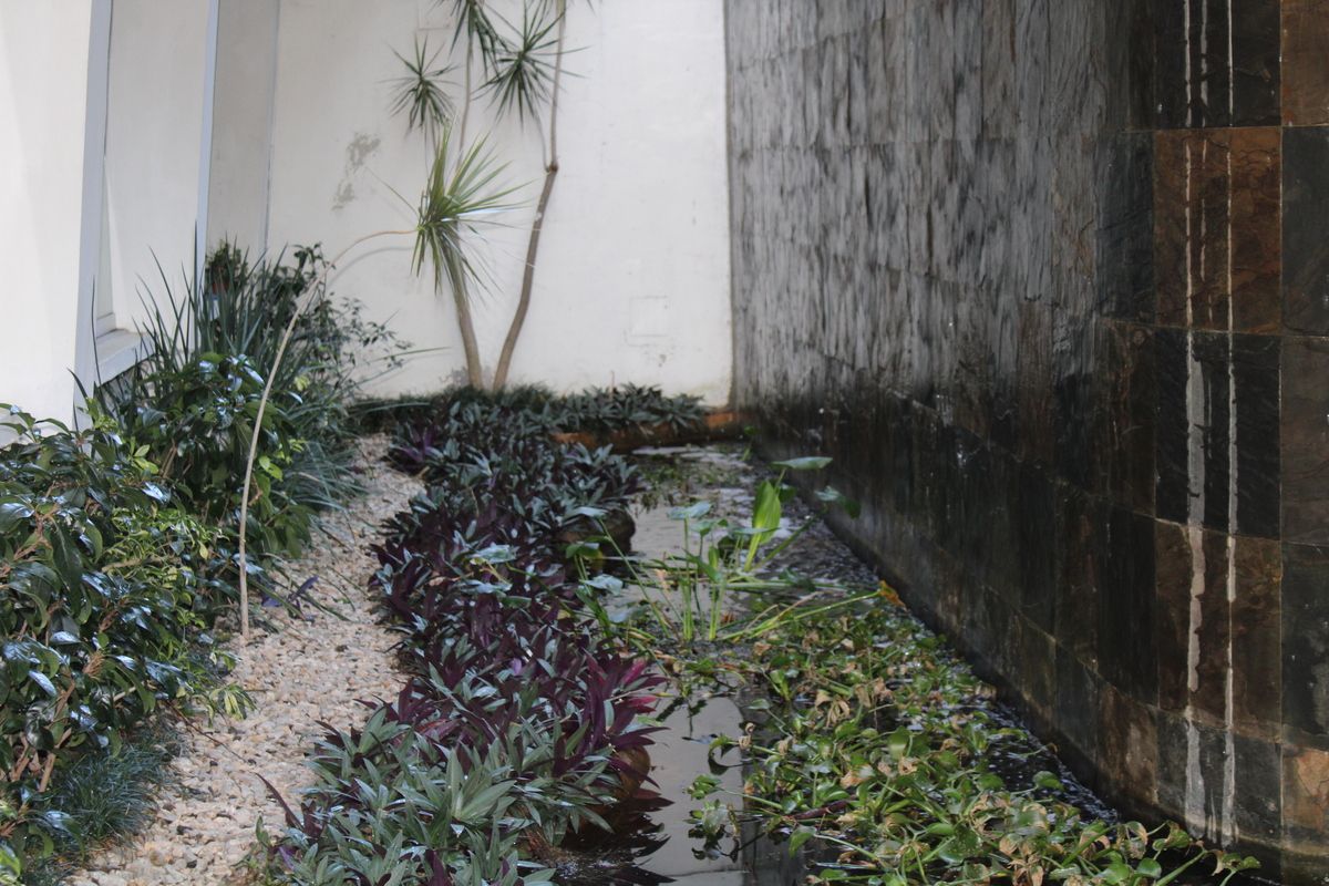 Casa con uso de suelo en Vista Hermosa, Cuernavaca, foto 41 de 50