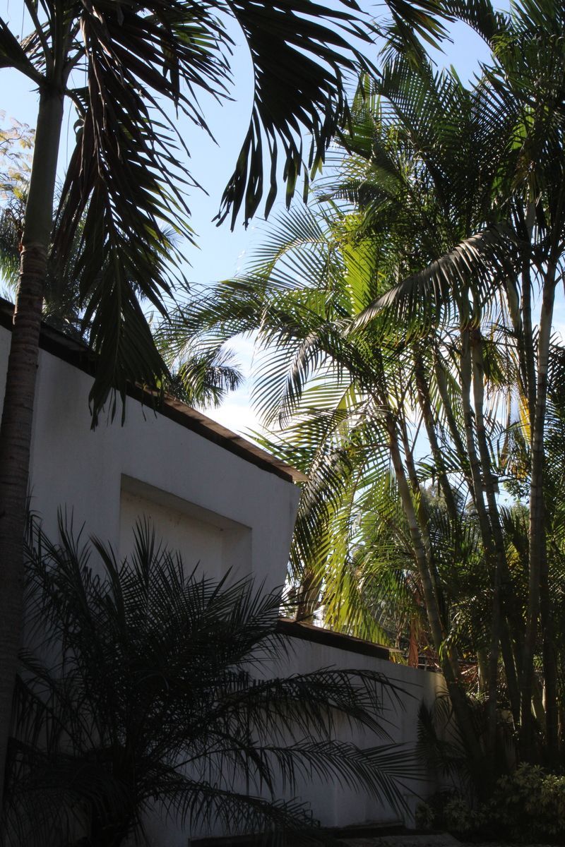 Casa con uso de suelo en Vista Hermosa, Cuernavaca, foto 42 de 50