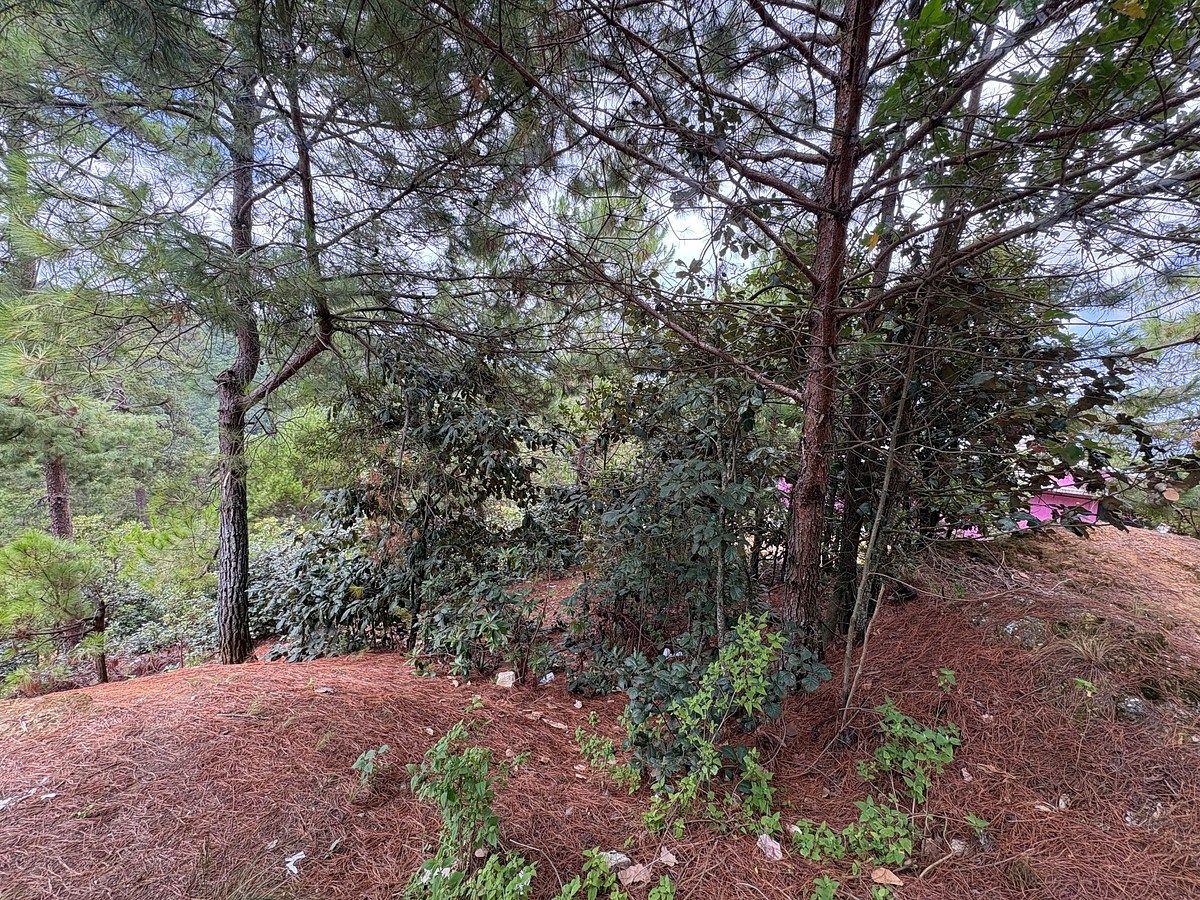 Terreno en La Garita, San Cristóbal de Las Casas, foto 4 de 12
