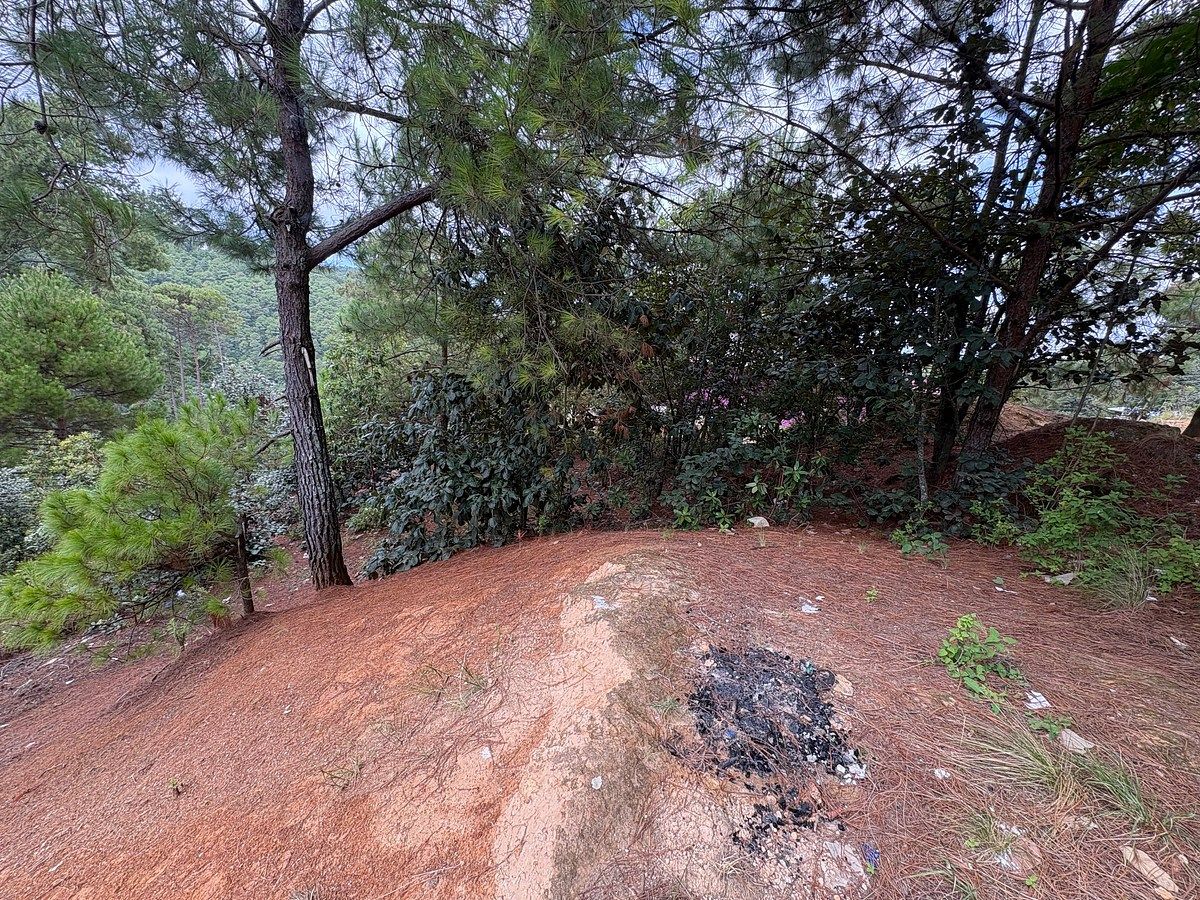 Terreno en La Garita, San Cristóbal de Las Casas, foto 6 de 12