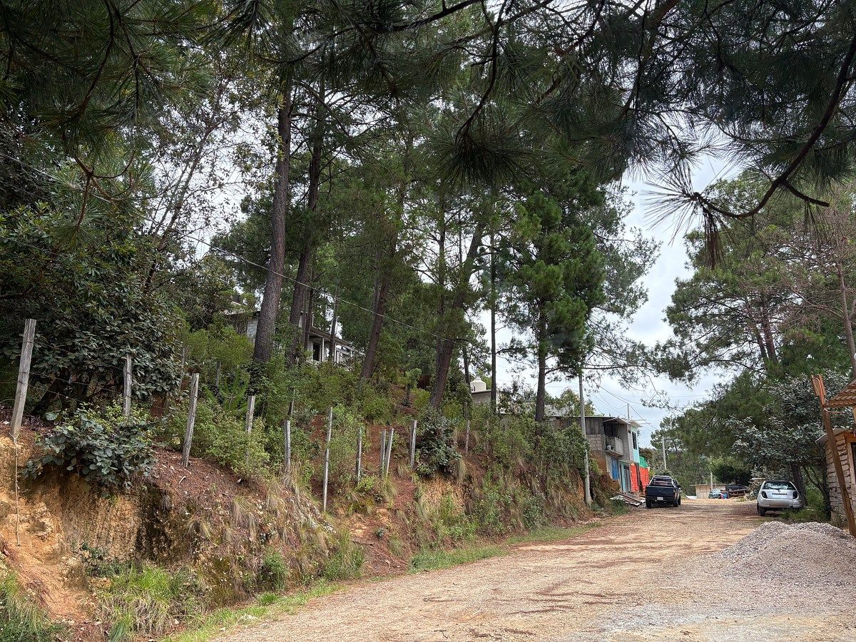 Terreno en La Garita, San Cristóbal de Las Casas, foto 7 de 12