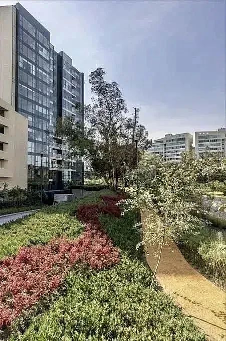 Apartment in Lomas de Chapultepec VIII Sección, Miguel Hidalgo, photo 26 of 41