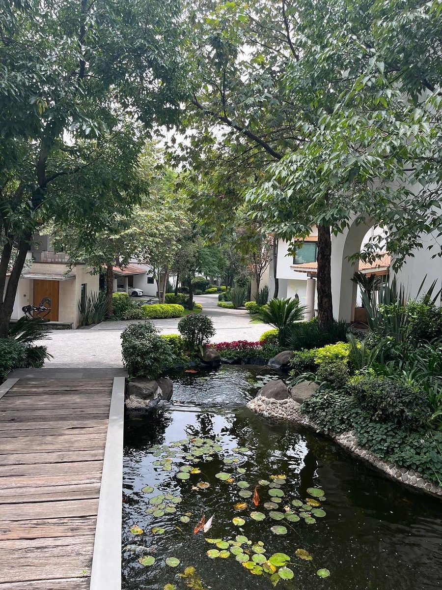 Casa en condominio en Tlacopac, Álvaro Obregón, foto 14 de 14