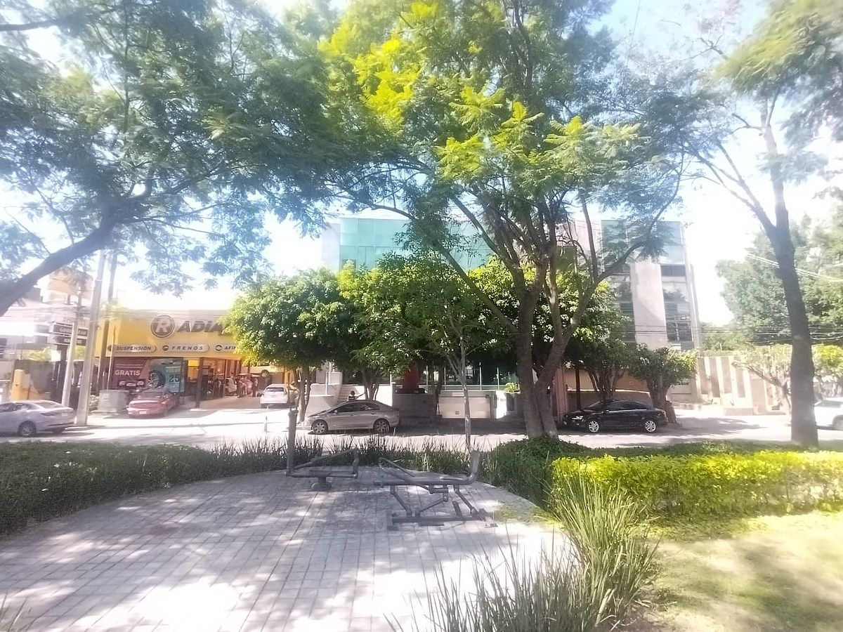 Oficina en Providencia 1a Secc, Guadalajara, foto 5 de 16