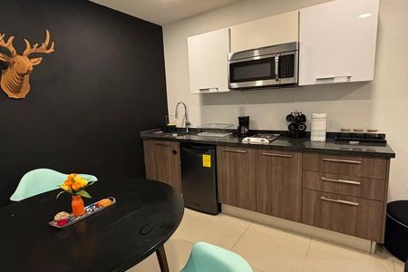DEPARTAMENTO AMUEBLADO ALURE CONDESA
