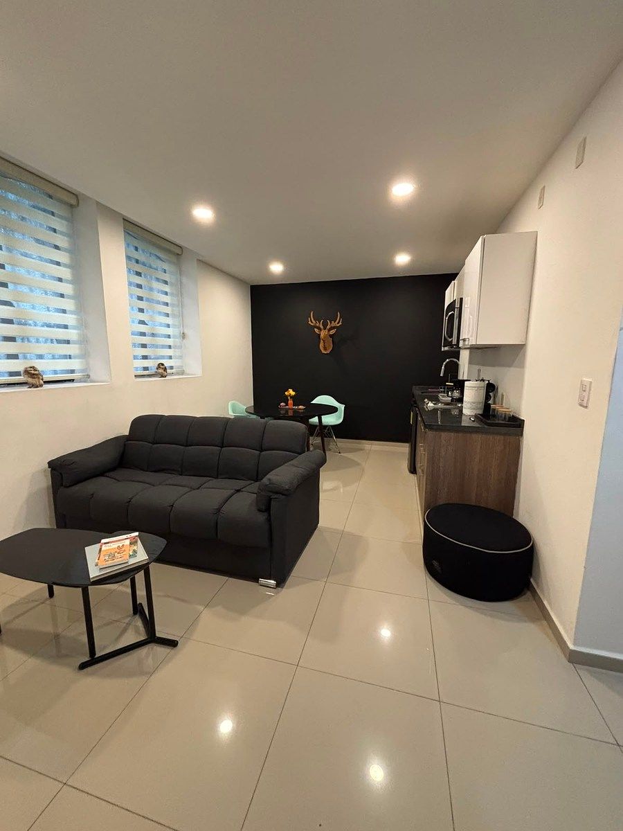 FURNISHED APARTMENT ALURE CONDESA, photo 1 of 18