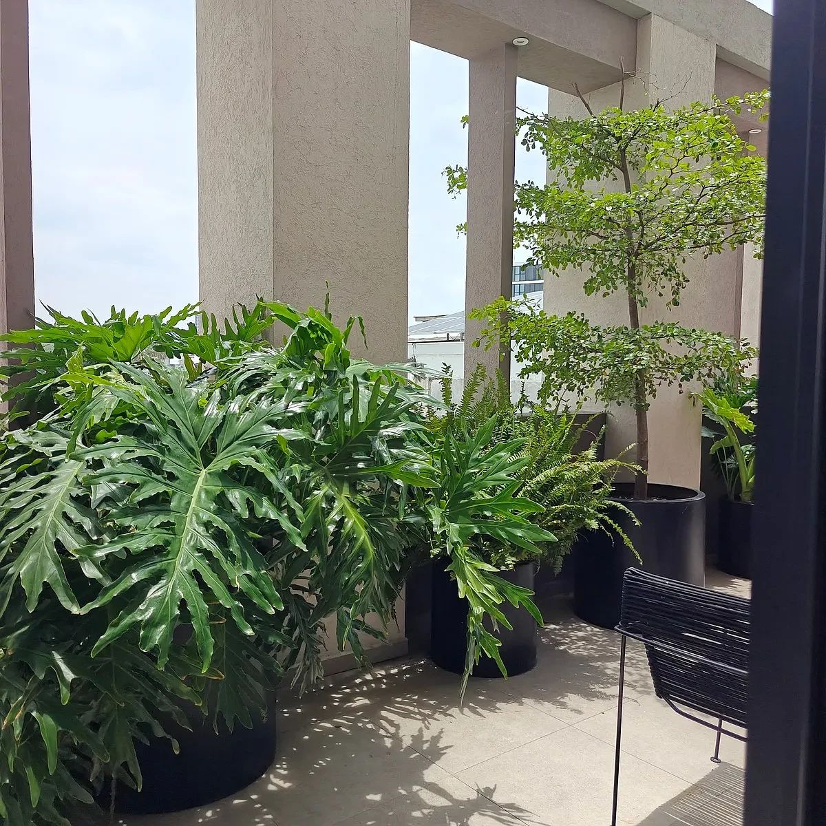 Apartamento em Lafayette, Guadalajara, foto 6 de 21