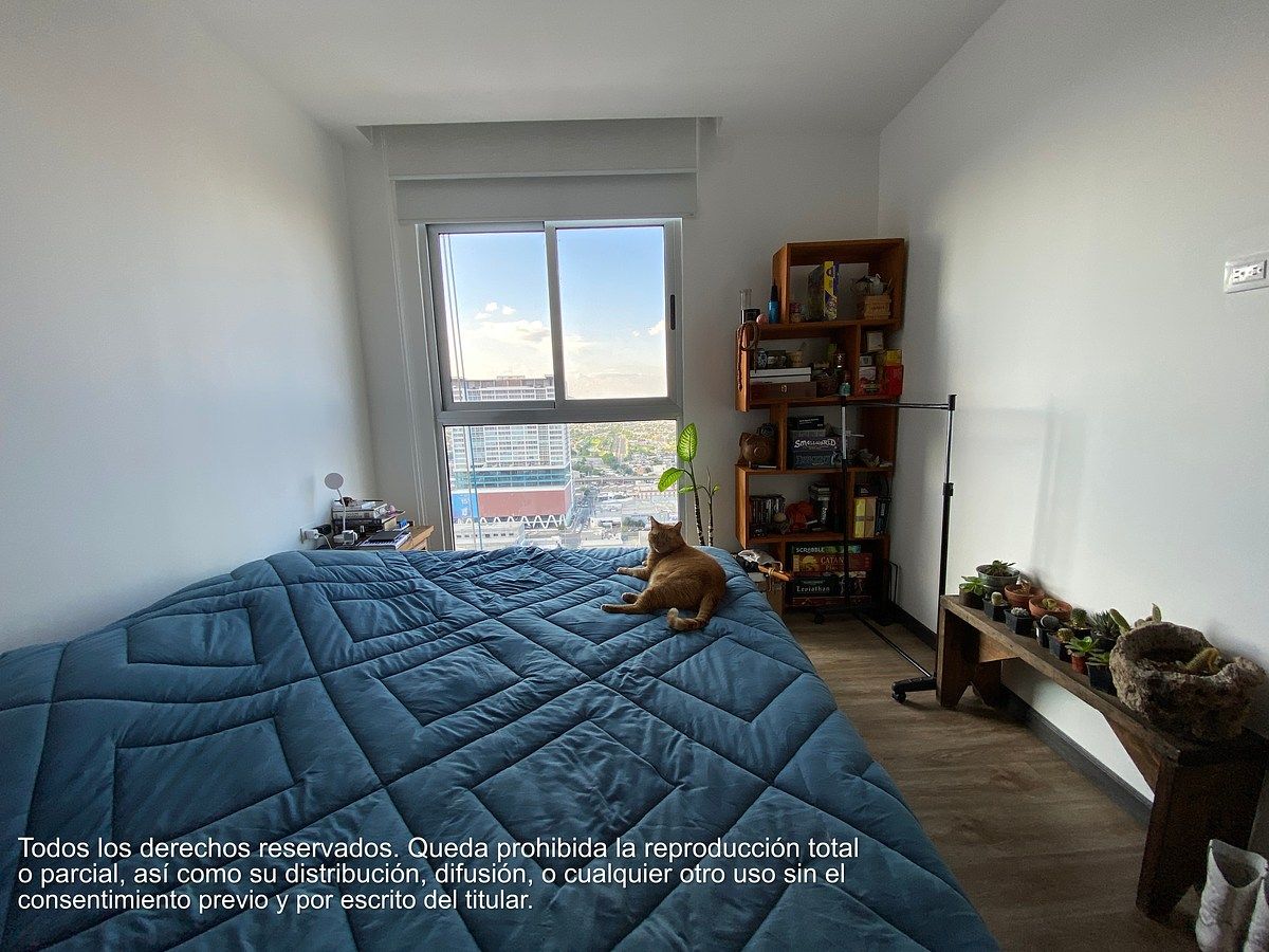 Apartment in Centro, Monterrey, photo 6 of 15