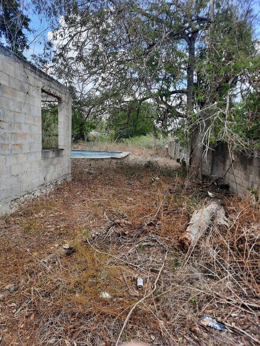 Lote em Sitpach, Mérida, foto 6 de 7