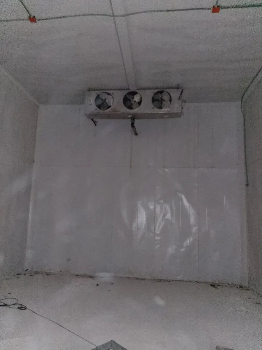Building in Celestun, Celestún, photo 7 of 27