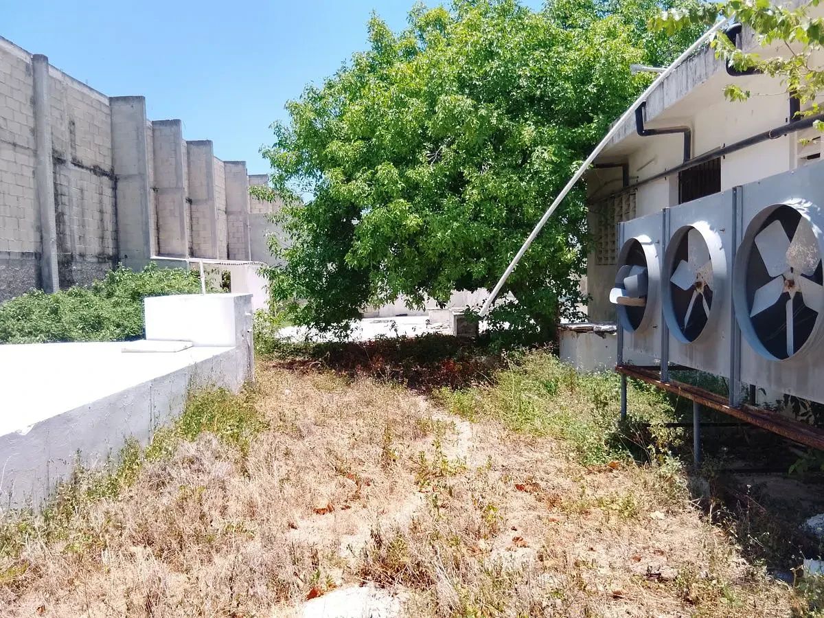 Building in Celestun, Celestún, photo 12 of 27