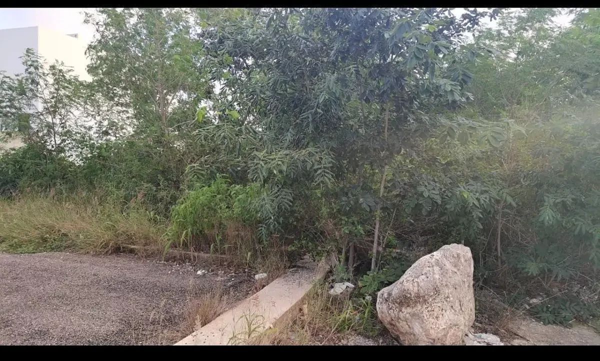 Lot in Conkal, Conkal, photo 5 of 7