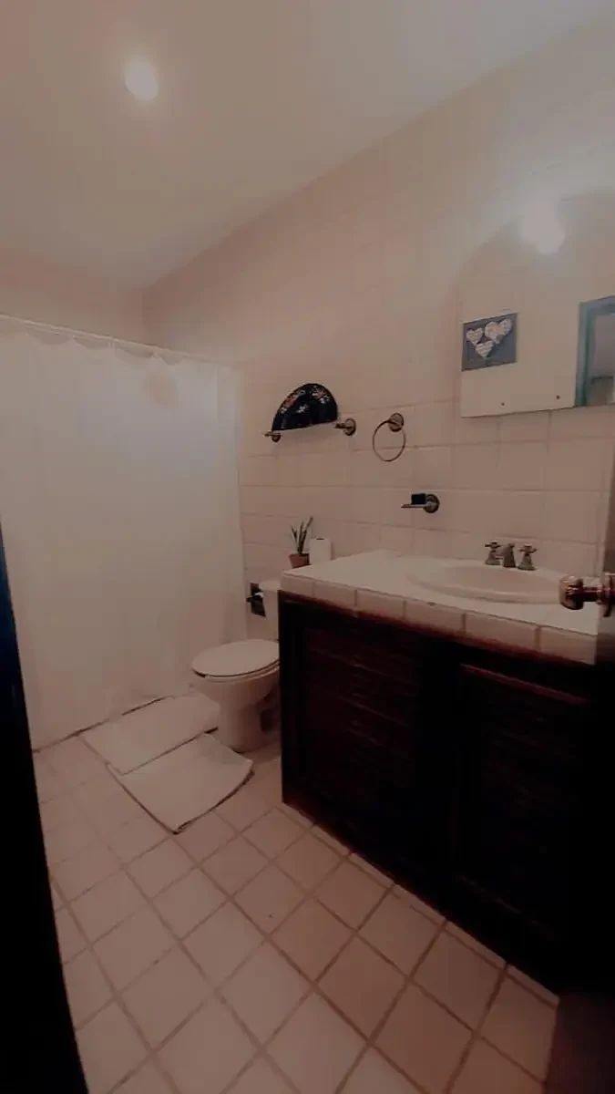 House in Francisco de Montejo, Mérida, photo 9 of 25