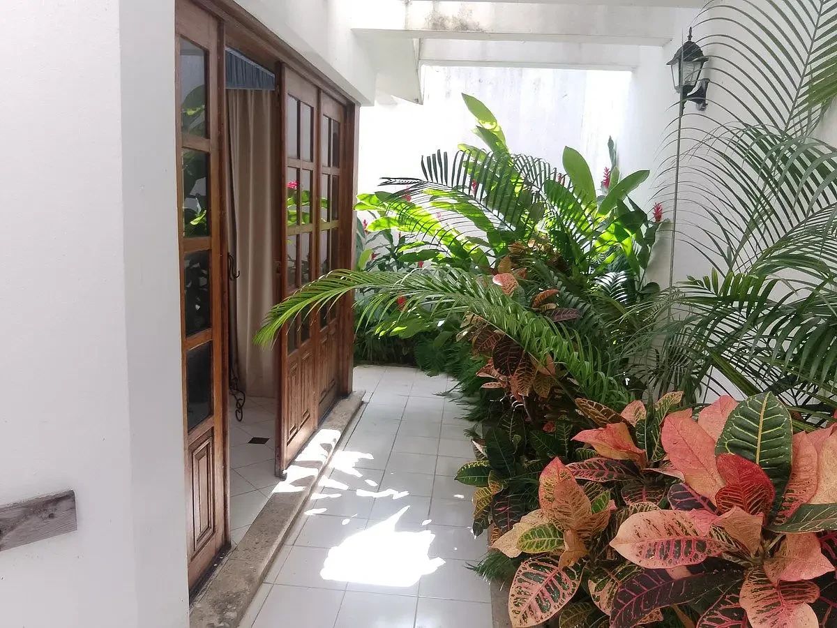 House in México, Mérida, photo 11 of 23