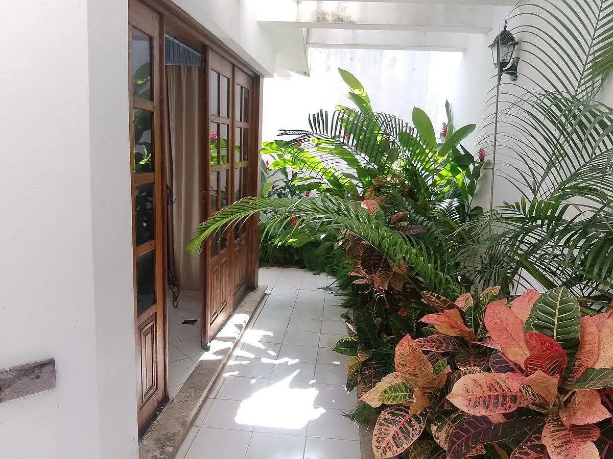 Office in México, Mérida, photo 11 of 23