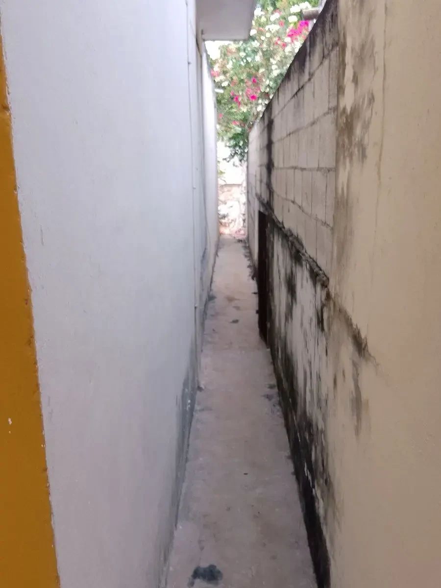 House in García Gineres, Mérida, photo 10 of 19