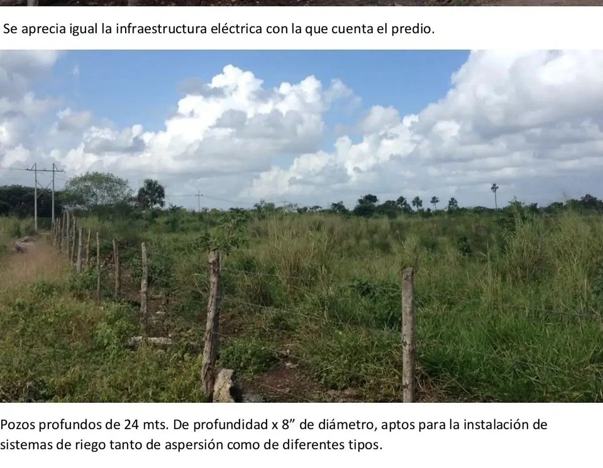 Rancho en Panaba, Panabá, foto 5 de 11