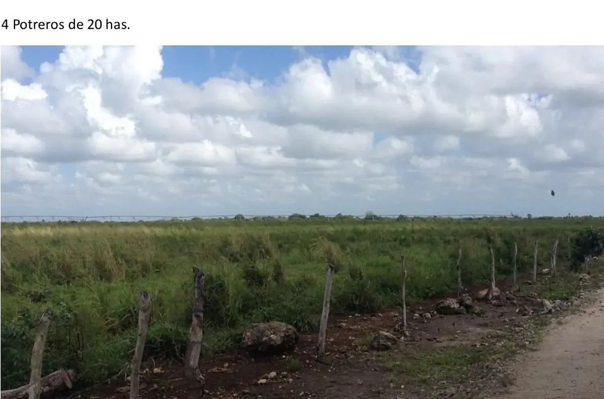 Rancho en Panaba, Panabá, foto 7 de 11