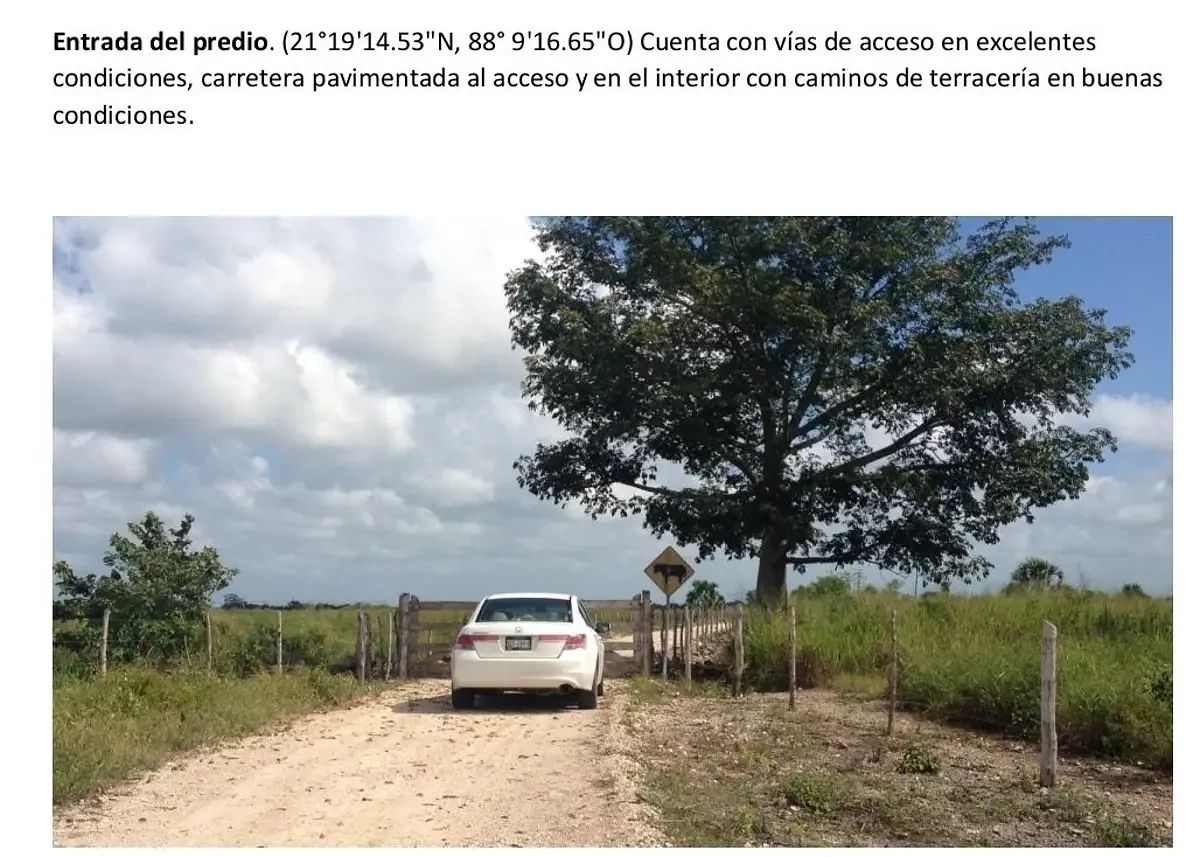 Rancho en Panaba, Panabá, foto 9 de 11