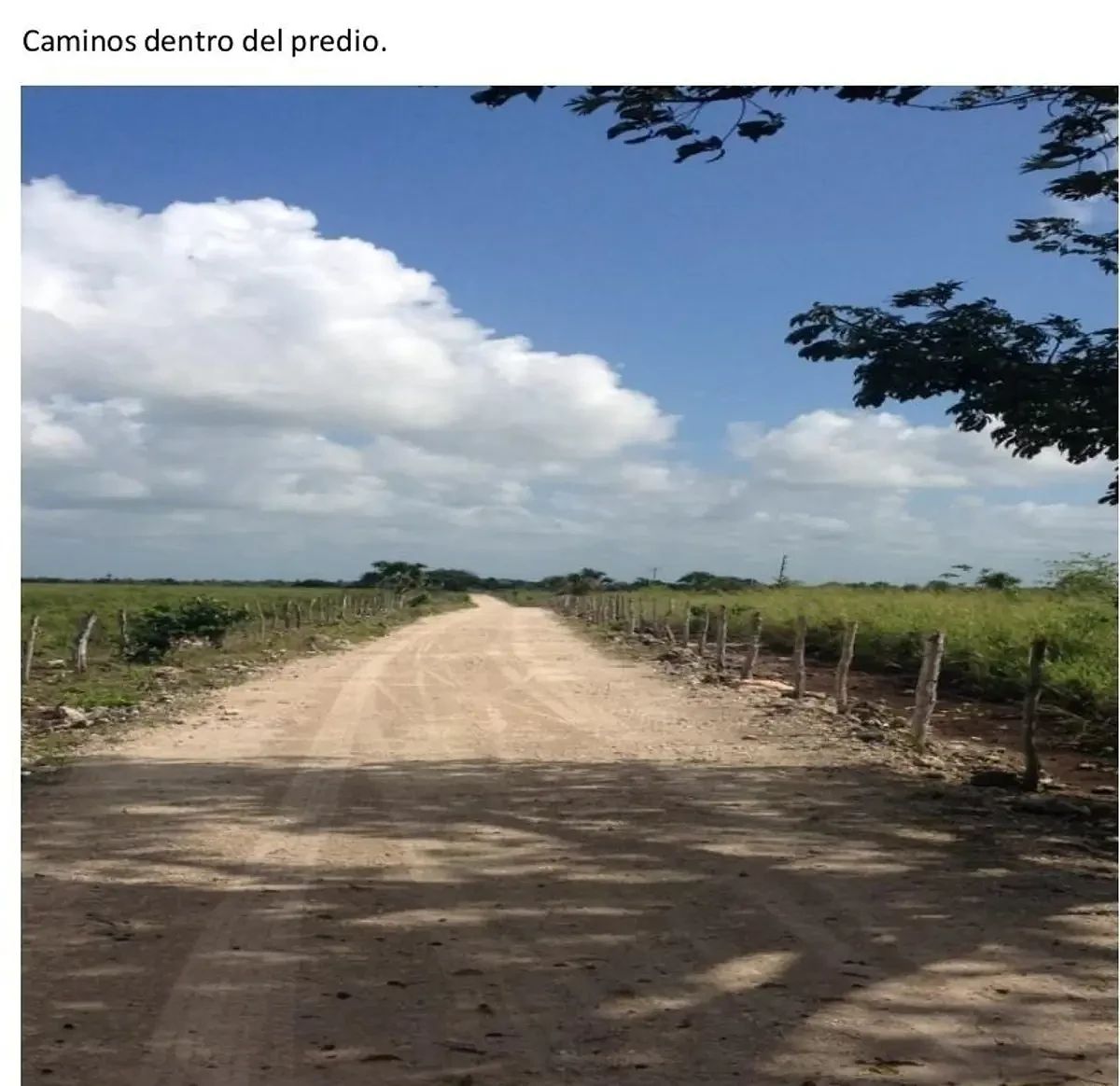 Rancho en Panaba, Panabá, foto 10 de 11