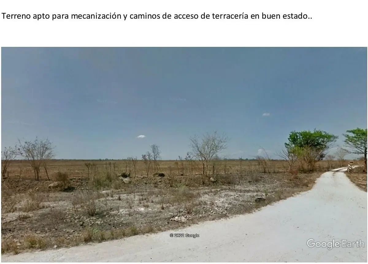 Rancho en Panaba, Panabá, foto 11 de 11