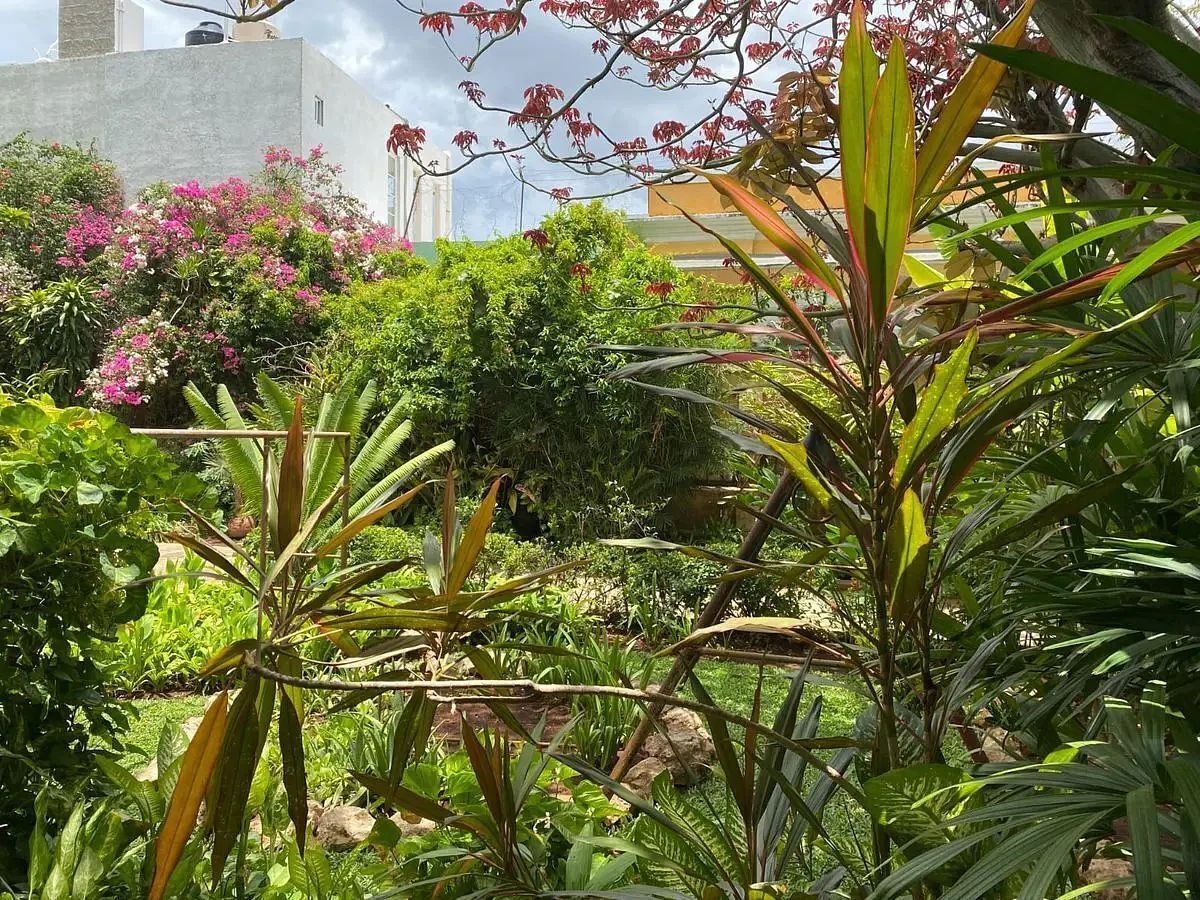 Casa en Mérida Centro, Mérida, foto 9 de 11