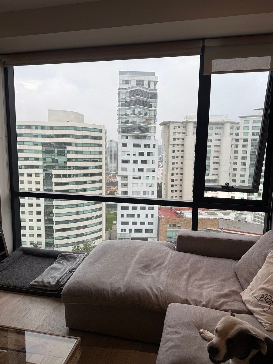 Apartamento em Interlomas, Huixquilucan, foto 6 de 29
