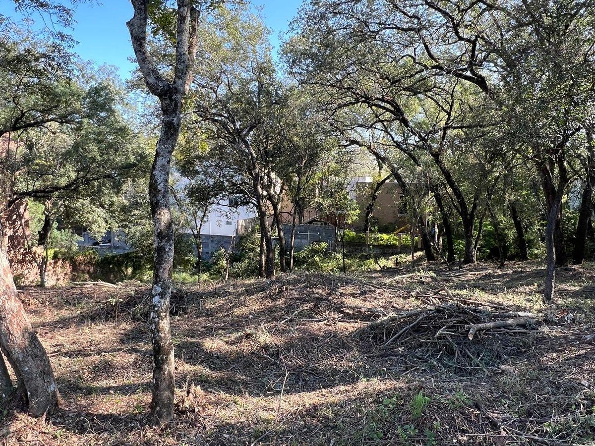 Lote em Bosque Residencial, Santiago, foto 4 de 12