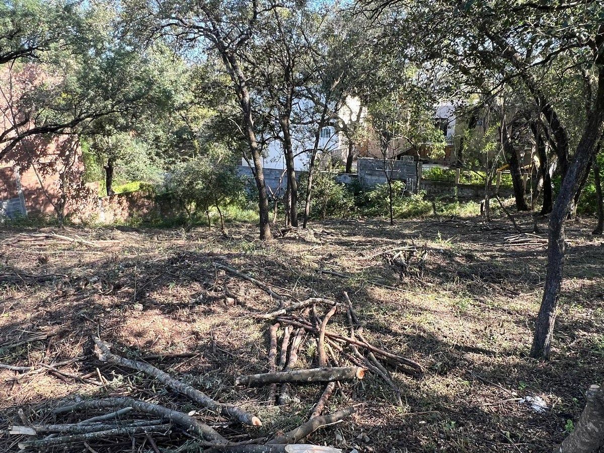 Lote em Bosque Residencial, Santiago, foto 8 de 12