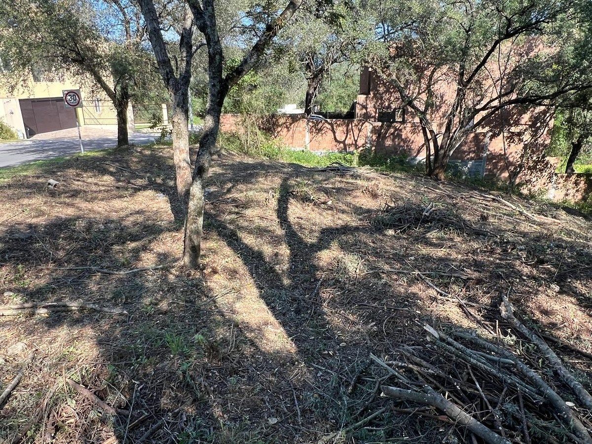 Lote em Bosque Residencial, Santiago, foto 10 de 12