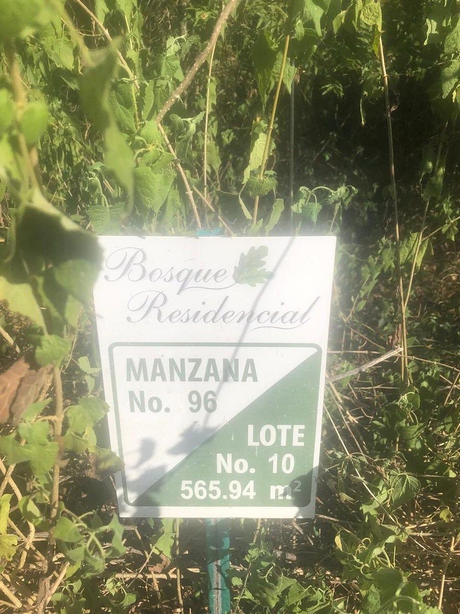 Lote em Bosque Residencial, Santiago, foto 11 de 12