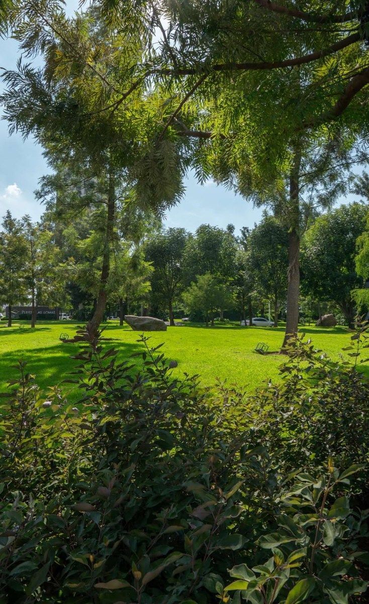 Apartment in Puerta del Bosque, Zapopan, photo 10 of 50