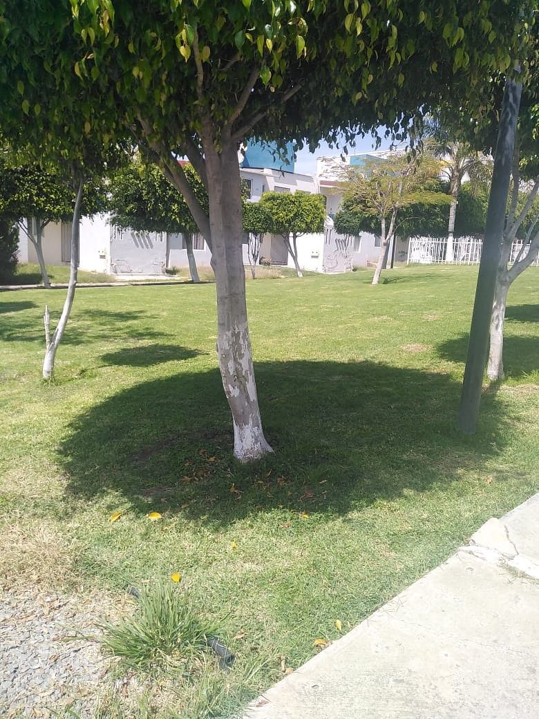 Apartamento em Peñuelas, Querétaro, foto 20 de 22