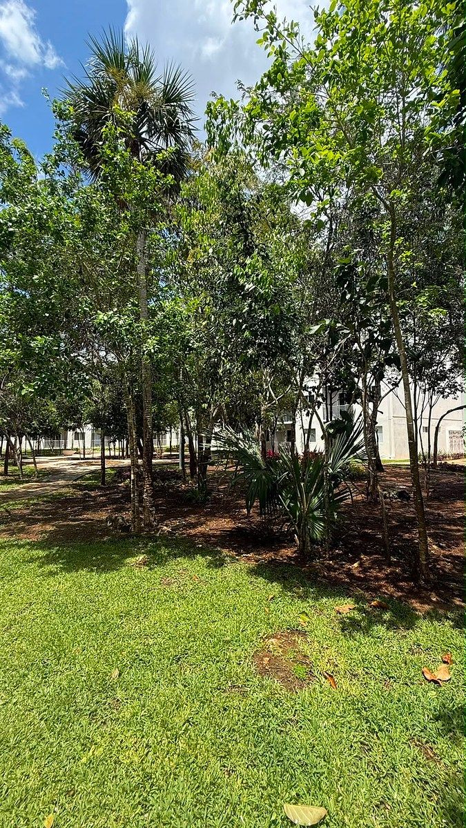 Apartamento em Jardines del Sur, Benito Juárez, foto 15 de 16