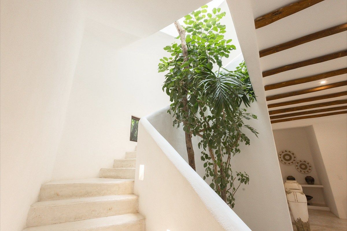 Casa en Buenavista, Bacalar, foto 6 de 18