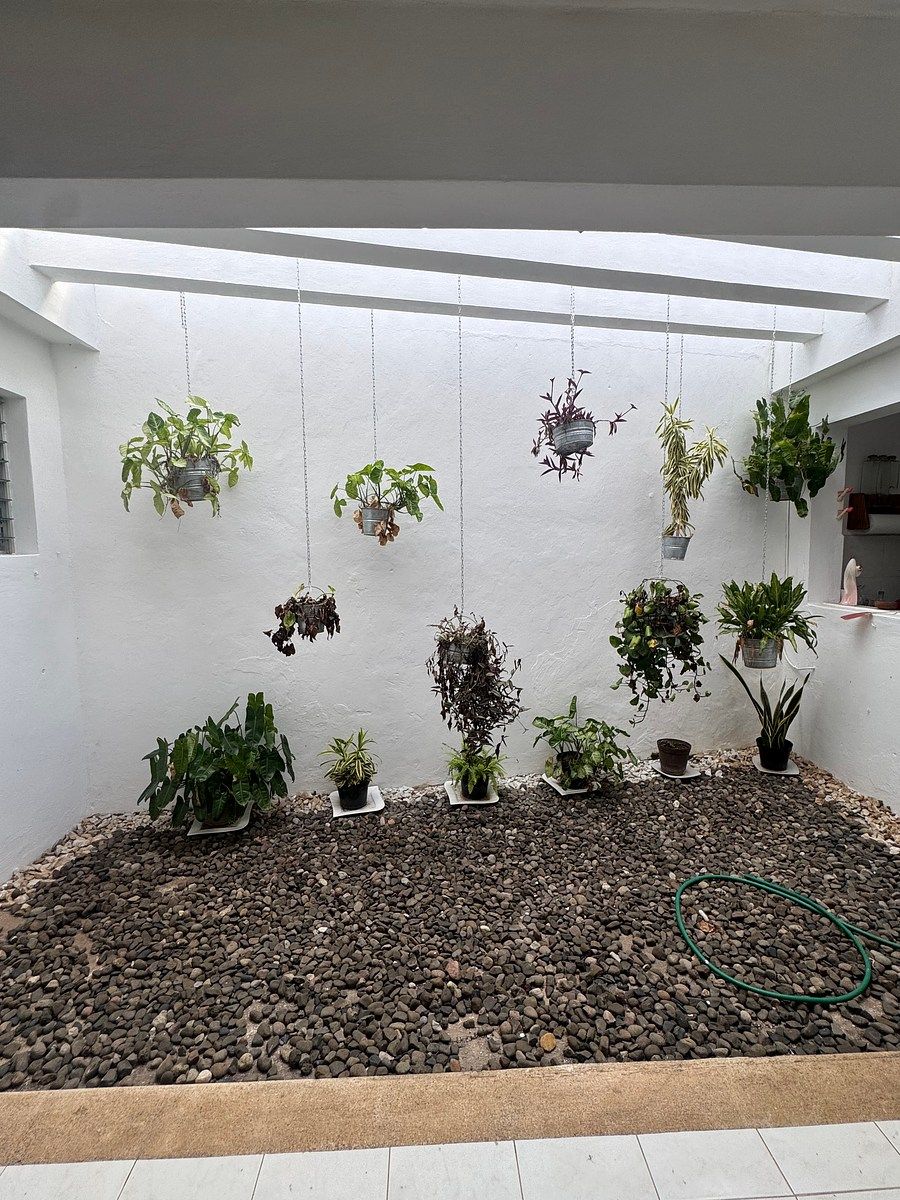 Casa en Los Pinos, Mérida, foto 11 de 22
