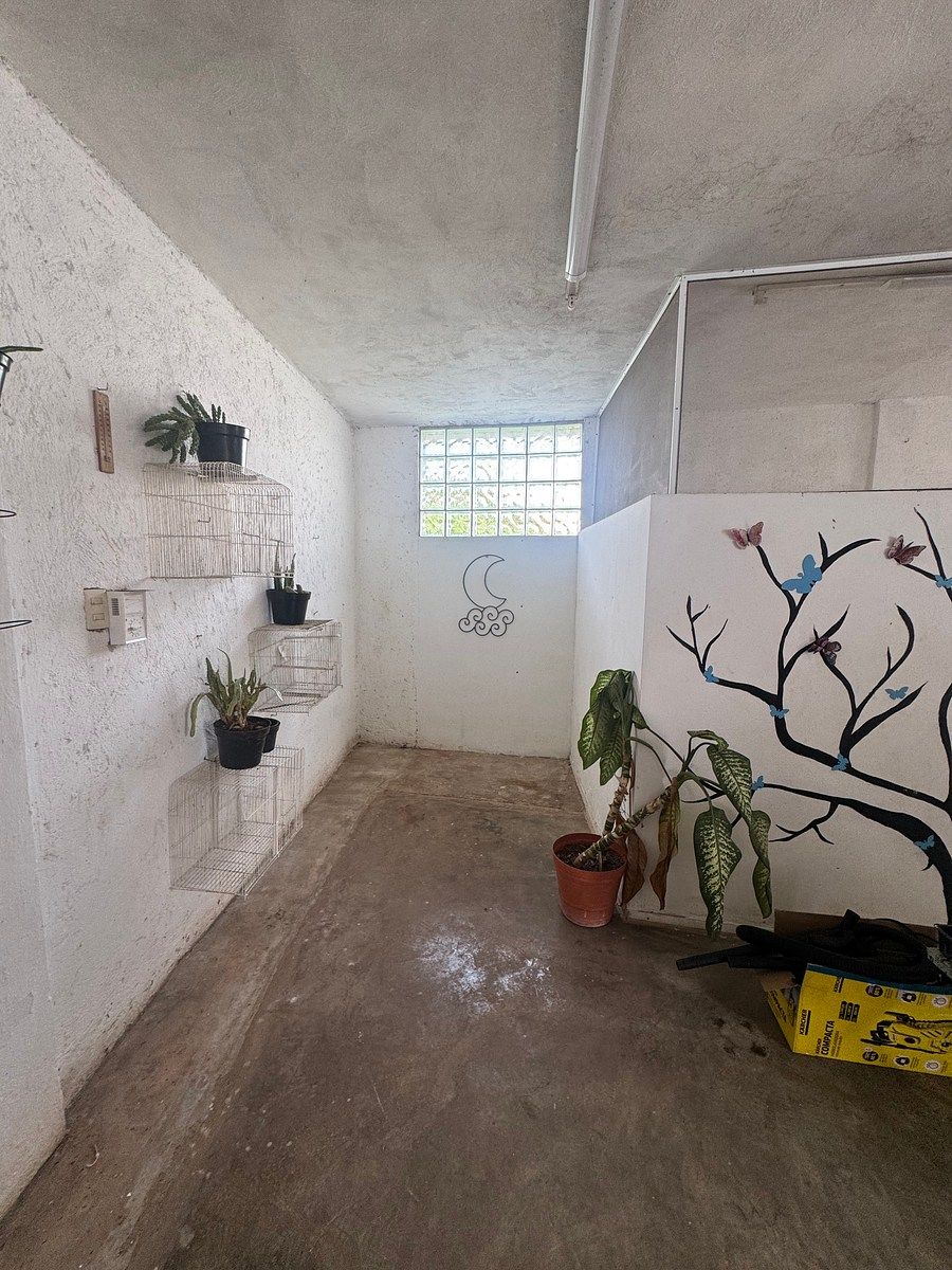 Casa en Los Pinos, Mérida, foto 19 de 22
