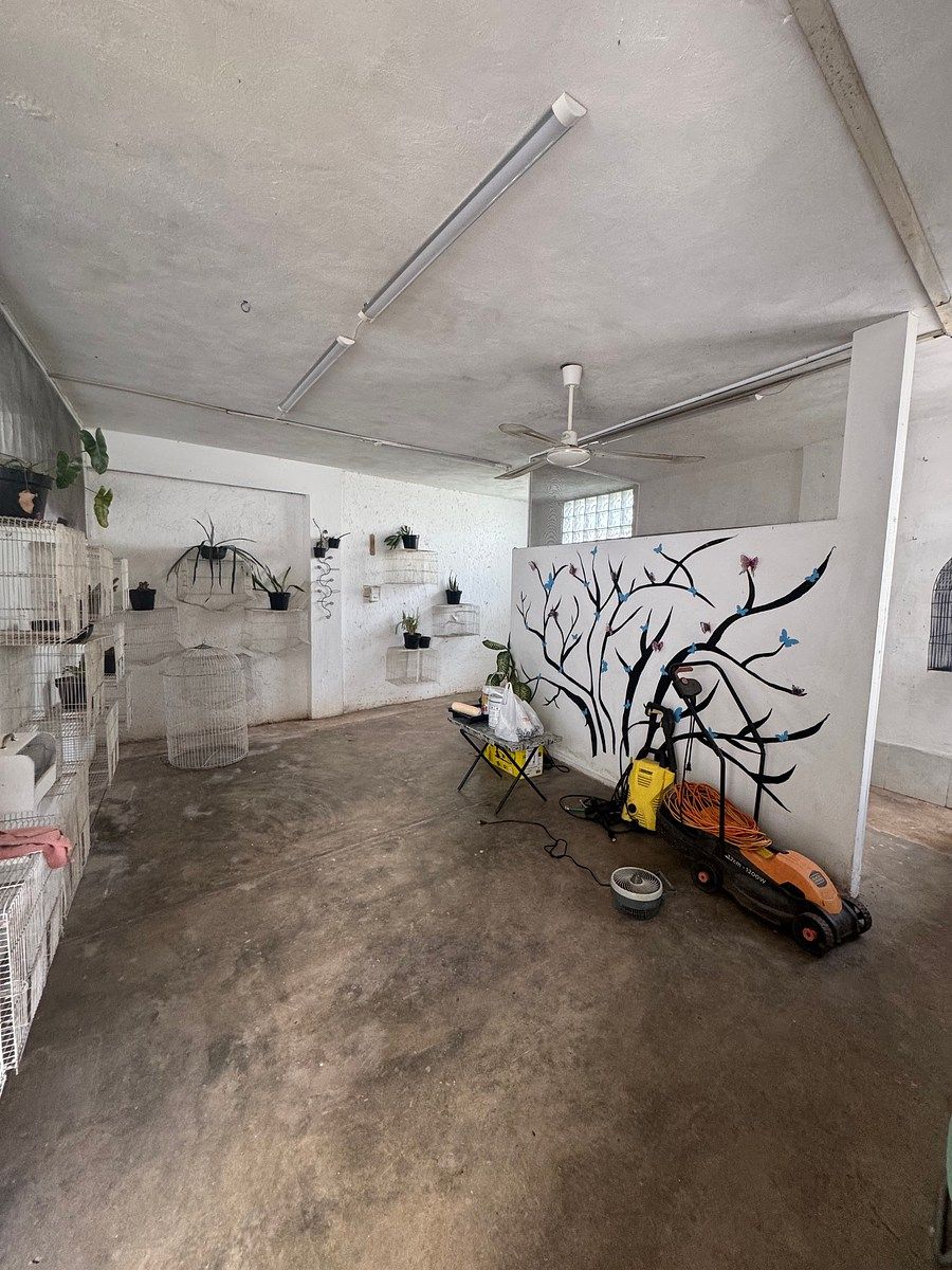 Casa en Los Pinos, Mérida, foto 21 de 22