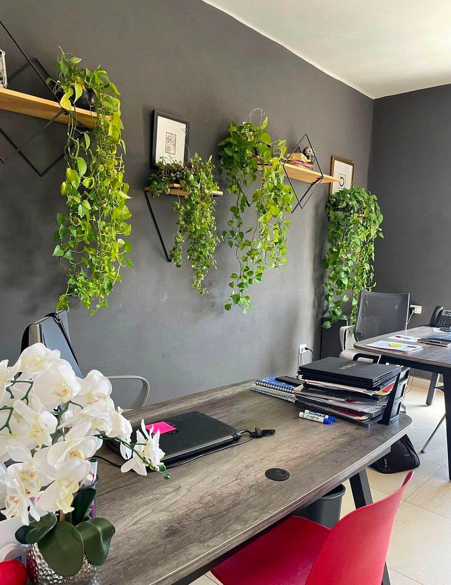 Casa en Moderna, San Luis Potosí, foto 8 de 8