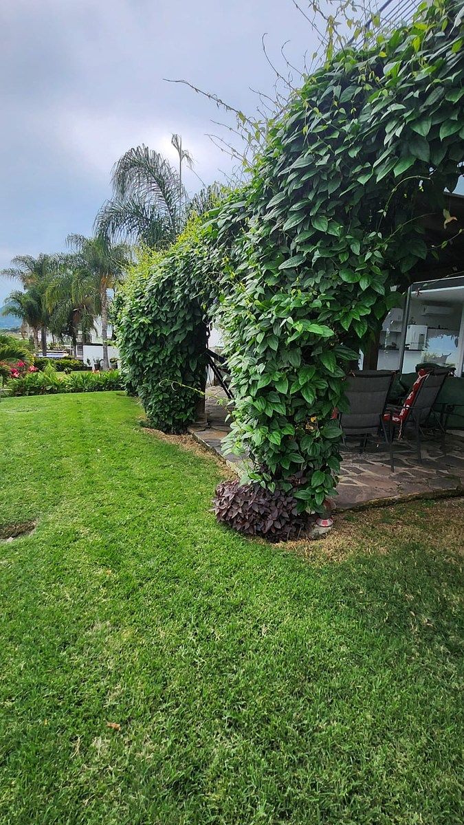 Casa en condominio en San Juan Cosala, Jocotepec, foto 21 de 46