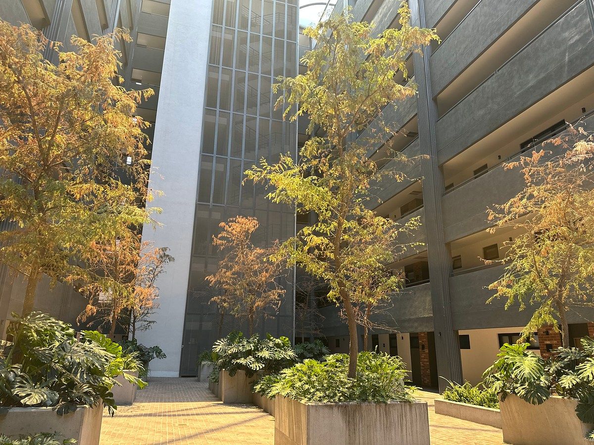 Interior Edificio, foto 19 de 26