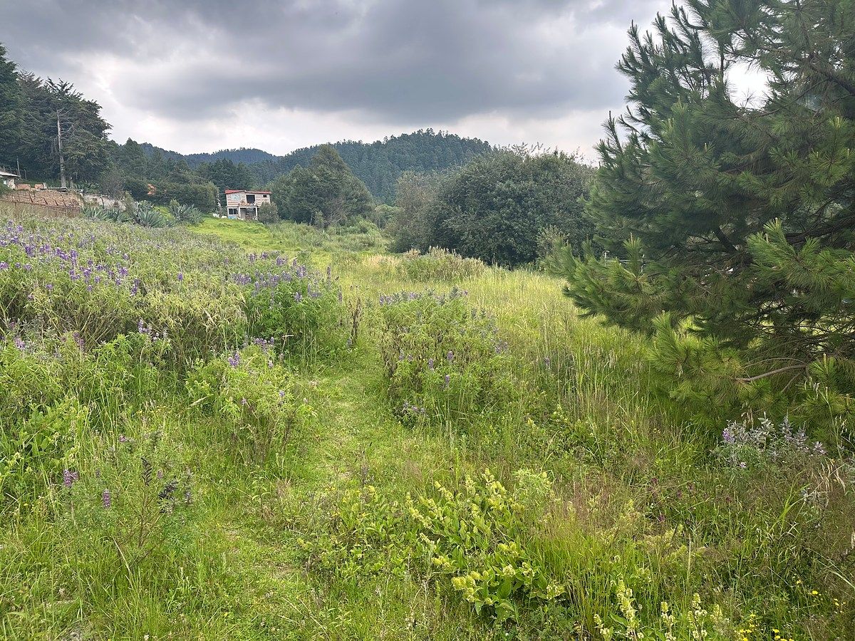Terreno en Cañada de Alférez, Lerma, foto 3 de 8
