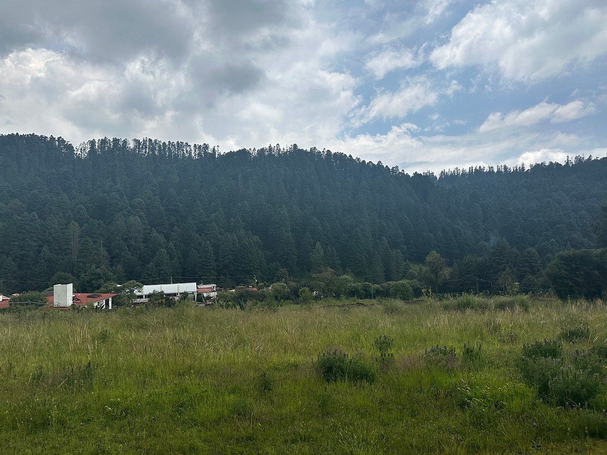 Terreno en venta en Salazar / Cañada de Alférez, foto 1 de 8