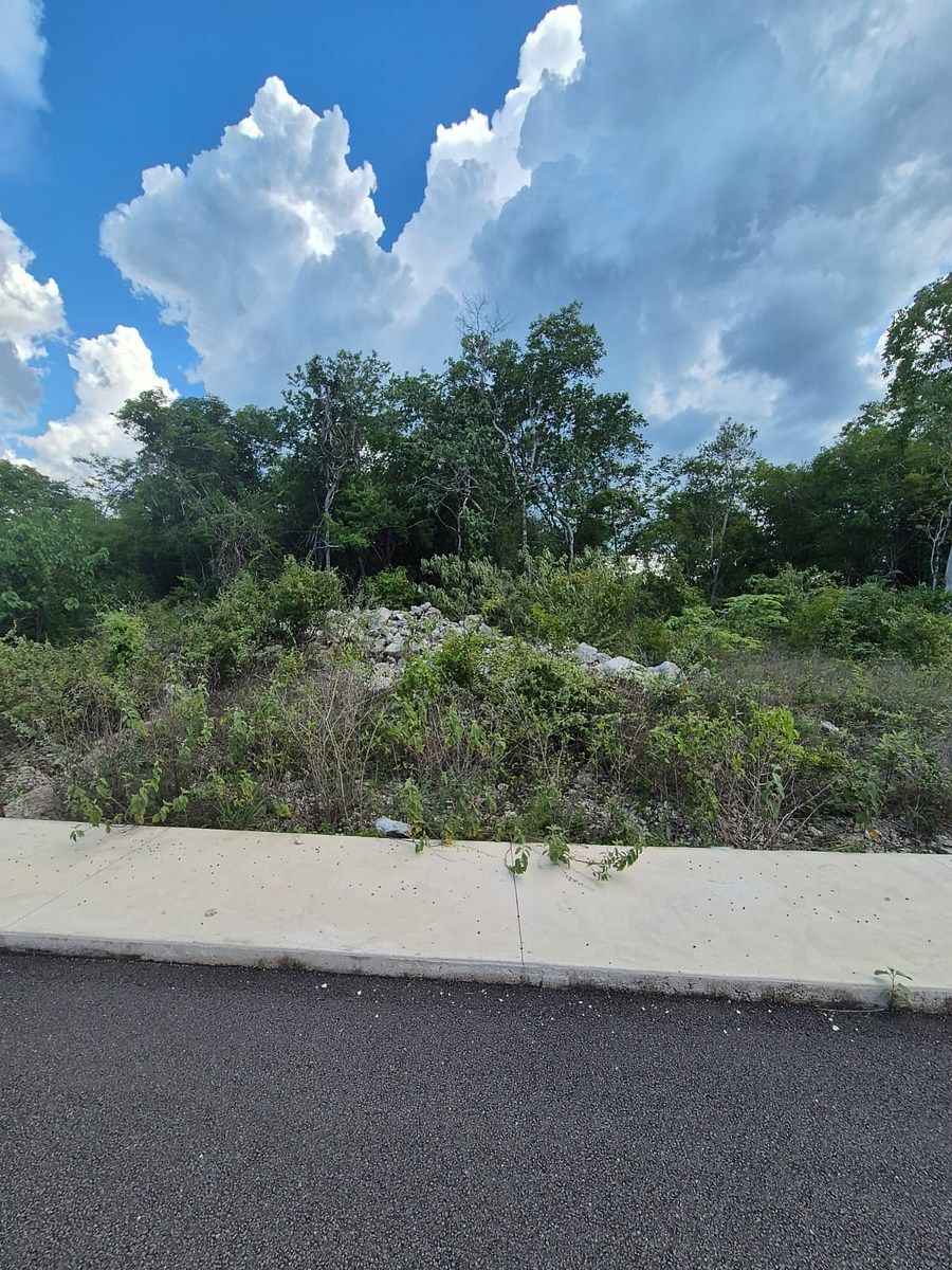 Lote em Sisal, Hunucmá, foto 3 de 4